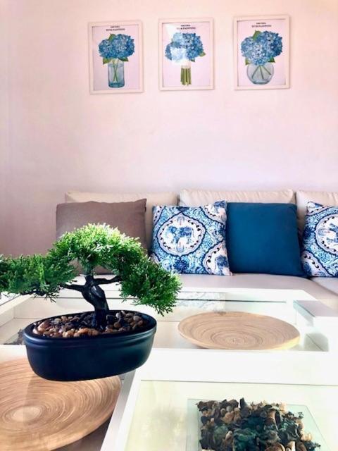 Gatu Premium Atico Parra, Parking, Piscina Comun, Terraza, Wifi , " Preferente Mayores De 25 Anos Y Familias " El Puerto de Santa María Eksteriør billede