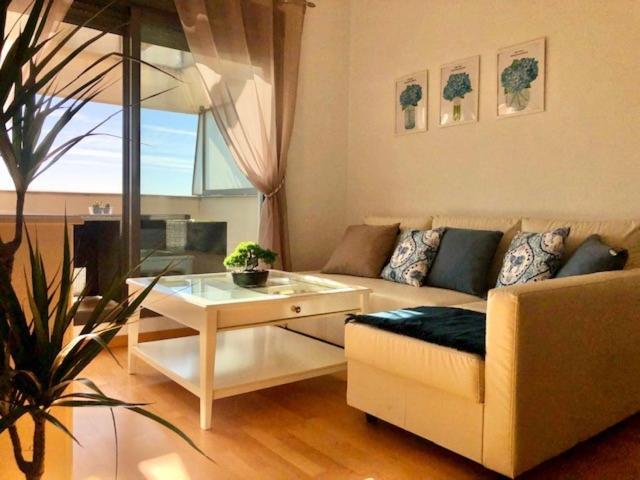 Gatu Premium Atico Parra, Parking, Piscina Comun, Terraza, Wifi , " Preferente Mayores De 25 Anos Y Familias " El Puerto de Santa María Eksteriør billede